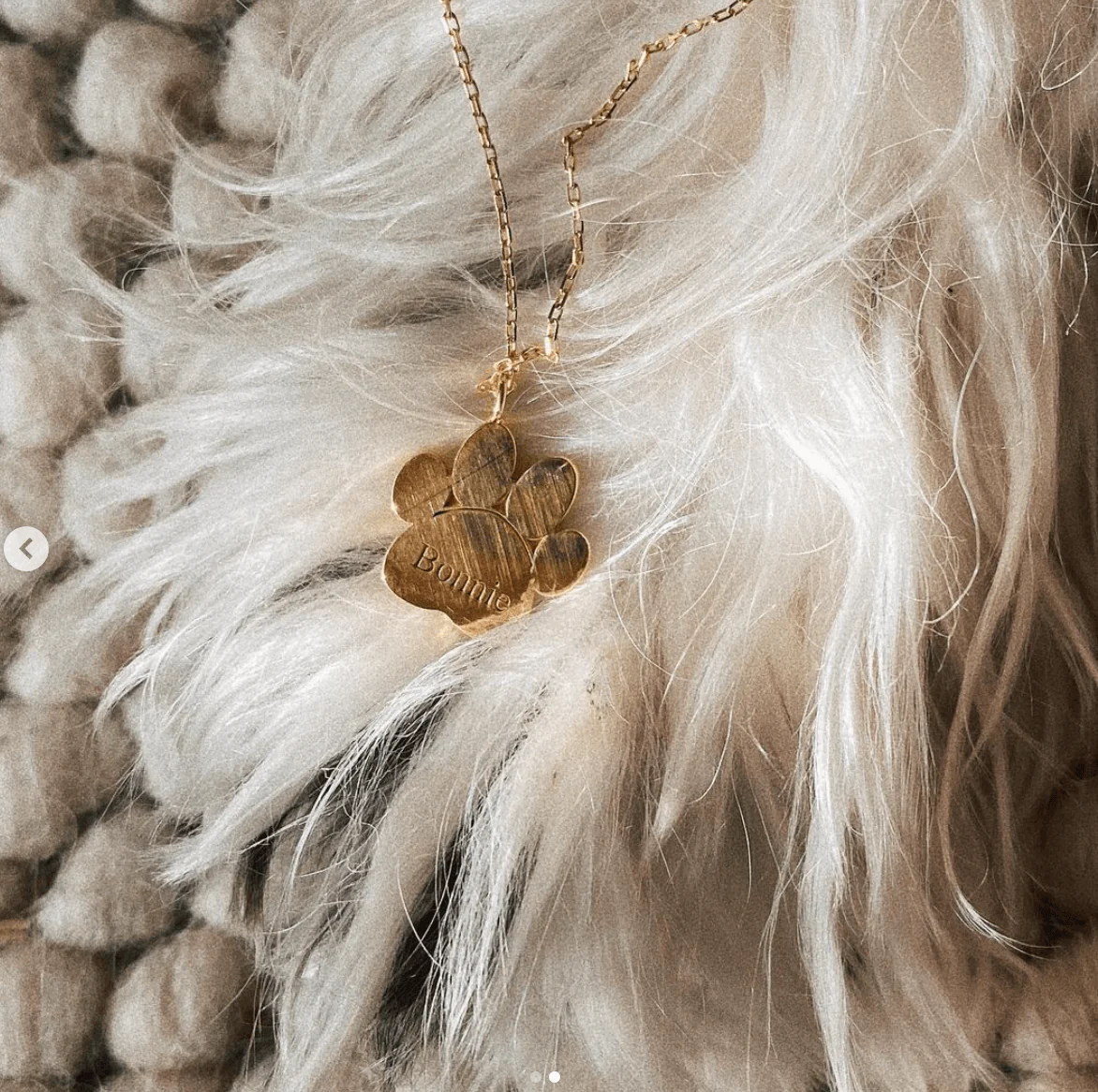 Solid Gold Dog Paw Necklace - Image 3